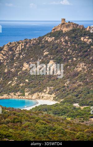 Die Bucht von Roccapina mit ihrem wunderschönen türkisfarbenen Wasser und Sandstrand mit dem Wachturm auf dem Hügel in der Sonne Stockfoto