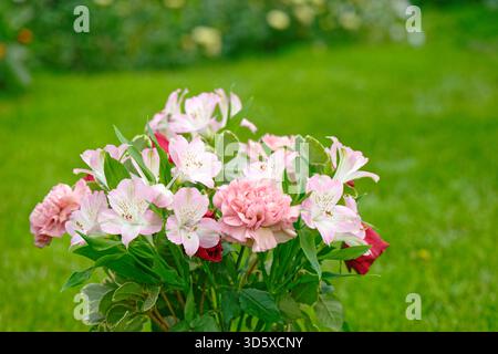 Ein Blumenstrauß auf einem grünen Rasen im Garten Stockfoto
