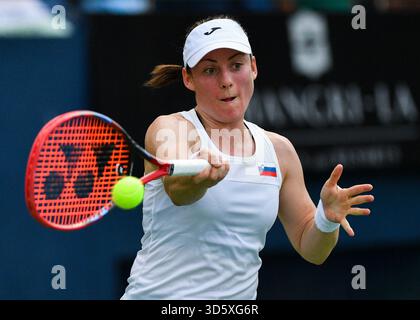 Bengaluru, Indien. November 2025. Tamara Zidansek (SVN) über Action während des Gruppenspiels im staatlichen Rasentennisverband Karnataka während der Billie Jean King Cup Playoffs in Bengaluru, Indien am 15. November 2025 Credit: Independent Photo Agency/Alamy Live News Stockfoto