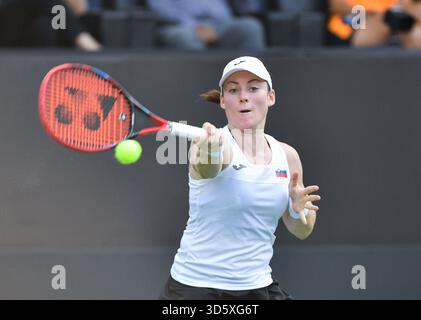 Bengaluru, Indien. November 2025. Tamara Zidansek (SVN) über Action während des Gruppenspiels im staatlichen Rasentennisverband Karnataka während der Billie Jean King Cup Playoffs in Bengaluru, Indien am 15. November 2025 Credit: Independent Photo Agency/Alamy Live News Stockfoto