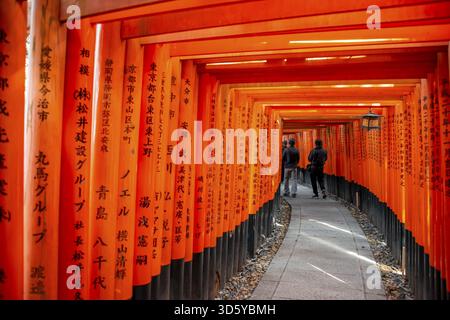 Machen Sie einen Spaziergang durch Hunderte von roten traditionellen Torii-Toren, Fushimi Inari Taisha, Shinto-Schrein, Fushimi Inari-taisha Okusha Hohaisho, Kyoto, Japan Stockfoto