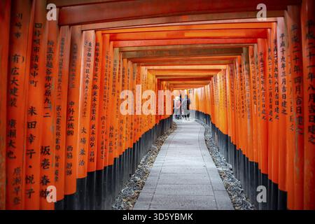 Machen Sie einen Spaziergang durch Hunderte von roten traditionellen Torii-Toren, Fushimi Inari Taisha, Shinto-Schrein, Fushimi Inari-taisha Okusha Hohaisho, Kyoto, Japan Stockfoto