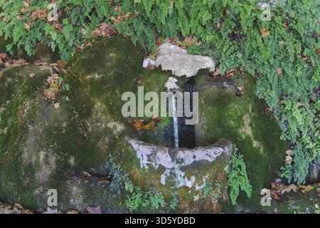Steinbrunnen, bedeckt mit Moos und Farnen, mit klarem Wasser, das in ein rustikales Becken zwischen herabfallenden Herbstblättern strömt Stockfoto