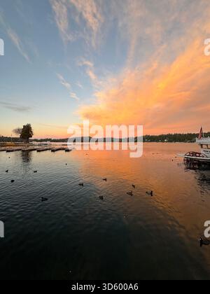 Goldener Sonnenuntergang über dem ruhigen See mit Reflektionen und Silhouetten-Enten Stockfoto