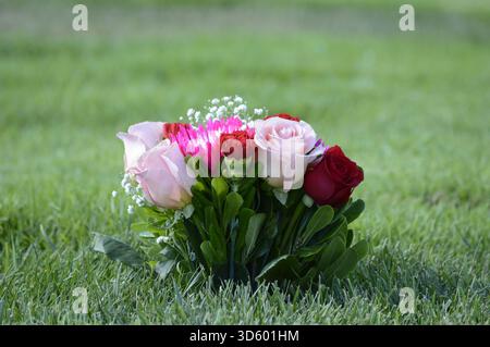 Farbenfrohe Rosenstrauß mit rosa und roten Rosen und weißem Atem der Babys auf grünem Gras auf dem Friedhof. Stockfoto
