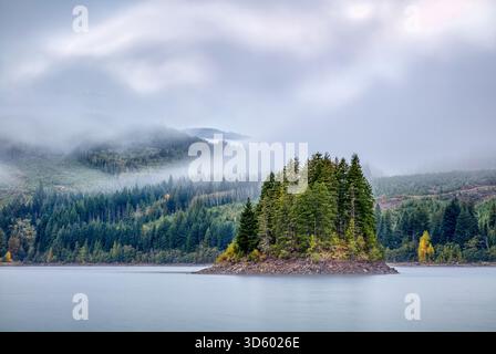 Kleine Bauminsel mit Blick auf den Strathcona Dam am Upper Campbell Lake. Vancouver Island, British Columbia, Kanada. Stockfoto