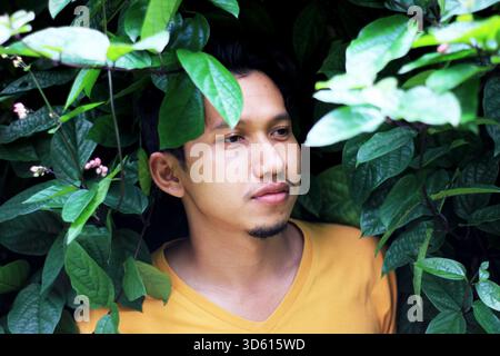 Porträt des Gesichts eines männlichen Models vor einem wunderschönen Hintergrund von Weinstöcken Stockfoto