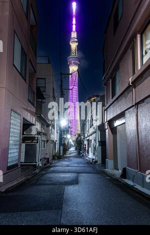 Der hell erleuchtete Tokyo Skytree strahlt mit einem leuchtenden violetten Licht gegen den Nachthimmel, eingerahmt von umliegenden Gebäuden Stockfoto