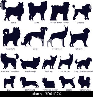 Hundesilhouetten. Verschiedene Rassen. Doberman, Malamute und labrador, Pudel und Corgi, Bulldog und Mops. Isolierter Vektorsatz. Sammlung von Haustieren oder Domesti Stock Vektor