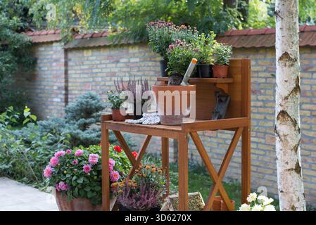 Herbstgartenarbeiten, Blumenpflanzen Stockfoto