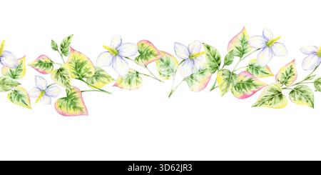 Horizontaler nahtloser Blumenstreifen aus herzförmigen rosa-grünen Blättern und weißen Blumen, Aquarellillustration, handgezeichnet. Entwickelt für Karten, Verzierungen, Etiketten und dekorative Schreibwaren Stockfoto