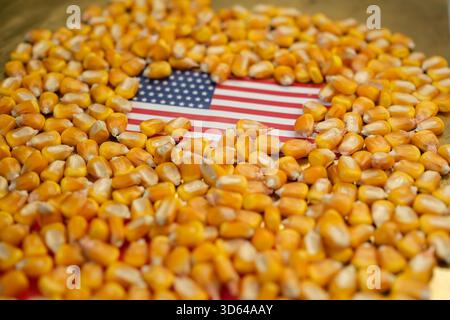 Flagge der Vereinigten Staaten von Amerika, bedeckt mit Maiskernen auf goldenem Hintergrund. Agrarimporte und -Exporte. Geringe Schärfentiefe. Stockfoto