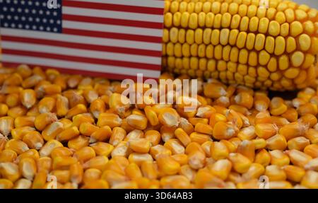Maiskerne, Maiskolben und Flagge der Vereinigten Staaten von Amerika. Geringe Schärfentiefe. Stockfoto