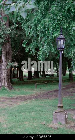 Der alte Laternenpfahl steht in der schattigen Waldlichtung Stockfoto