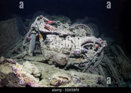Britische Kleinwaffen BSA M-20 Motorrad, Schiffswrack, SS Thistlegorm, Rotes Meer, Shaab Ali, Sinai-Halbinsel, Ägypten Stockfoto