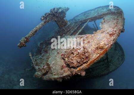 Stern mit Waffenplattform und 40-mm-Kanone, britisch, Schiffswrack, Wrack, Dampfschiff, SS Thistlegorm, Munitionsfrachter, startet 09.04.1940 in Sunderland. Stockfoto