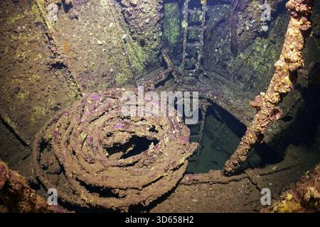 Treppe, Leiter, Kabel, unter Deck SS Turkia, Britisch, Dampfschiff, versenkt 17.05.1941, Rotes Meer, Golf von Suez, Ägypten Stockfoto
