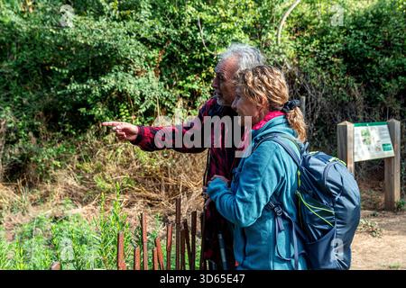 Seniorenpaare wandern, nach draußen zeigen, die Natur genießen Stockfoto