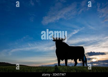 Eine auffällige Silhouette des Osborne-Stiers steht vor dem farbenfrohen Abendhimmel in Aljarafe, Sevilla, und zeigt die Schönheit Andalusiens. Stockfoto