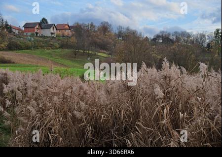 Kleines Dorf auf dem Hügel mit dichter Vegetation davor Stockfoto