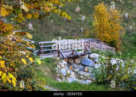 Das Foto zeigt eine malerische Szene einer hölzernen Brücke, die ein felsiges Bachbett überquert, eingebettet in eine üppige, bewaldete Landschaft. Die Brücke Stockfoto