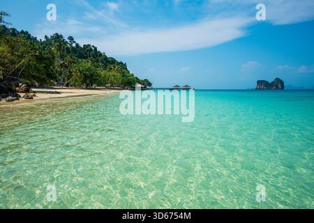 Weißer Sandstrand und Kokospalmen, Sunrise Beach, Koh Hai, Ko Ngai, Provinz Krabi, Trang, Südthailand, Andamanensee, Thailand Stockfoto