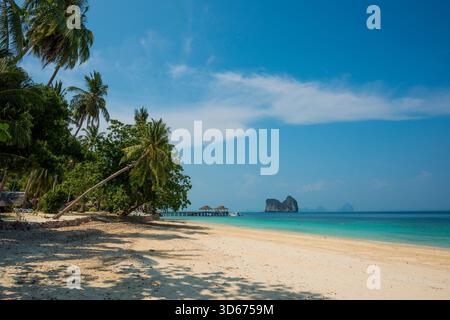 Weißer Sandstrand und Kokospalmen, Sunrise Beach, Koh Hai, Ko Ngai, Provinz Krabi, Trang, Südthailand, Andamanensee, Thailand Stockfoto