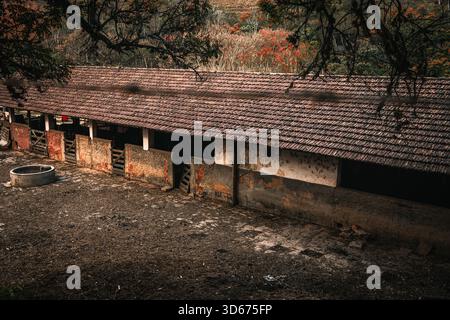 Rustikaler Bauernhof im ländlichen Brasilien Stockfoto