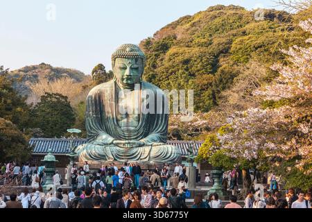 Großer Buddha von Kamakura im Frühling, Präfektur Kanagawa, Japan Stockfoto