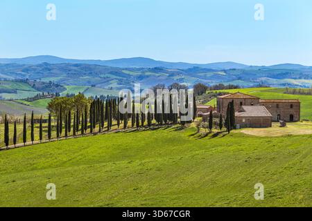 Agriturismo und Zypressen vor den Hügeln des Val d'Orcia, Toskana, Italien Stockfoto