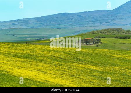 Blick über die Hügel in Val d'Orcia, Toskana, Italien Stockfoto