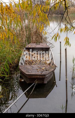 Ein verwittertes Boot sitzt ruhig auf ruhigem Wasser, umgeben von Schilf und lebhaften Herbstblättern. Die ruhige Umgebung fängt die Schönheit der Natur während fa ein Stockfoto