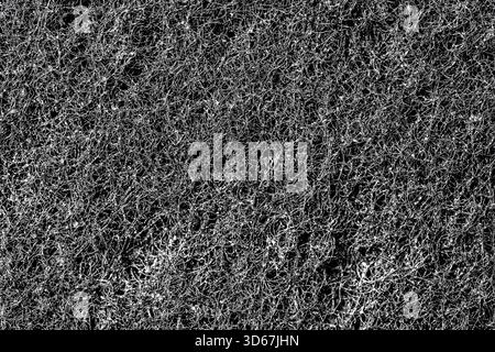 Dunkel Zusammenfassung Hintergrund und Muster von interwoven Haare, Fasern und Nanofasern. Schwamm detail Textur, Schwamm Textur Nahaufnahme Hintergrund. Cellulose Stockfoto