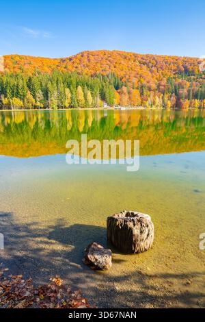 Herbstfarben am St. Anna Kratersee in Siebenbürgen, Rumänien Stockfoto