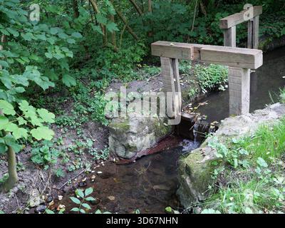 Kleiner Waldbach mit Holzwehren, umgeben von Moos, Bäumen und dichter Vegetation in natürlicher Umgebung. Kopierraum. Stockfoto