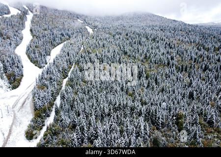 Aus der Vogelperspektive sehen Sie schneebedeckte Kiefern und Skipisten, die durch die Berge ziehen, ein Winterteppich, der sich von oben entfaltet, Sarajevo, Föderation von Bosnien Stockfoto