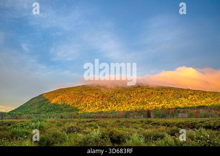 Morgenstimmung mit Blick auf einen der vielen glitzernden Berge im Acadia-Nationalpark, Park Loop Road, Mount Desert Island, Maine, USA Stockfoto