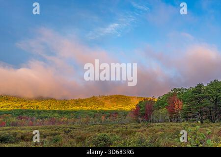 Morgenstimmung mit Herbstlaub im Acadia-Nationalpark, Park Loop Road, Mount Desert Island, Maine, USA Stockfoto