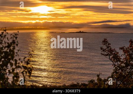 Morning Mood, Park Loop Road, Acadia National Park, Mount Desert Island, Maine, USA Stockfoto