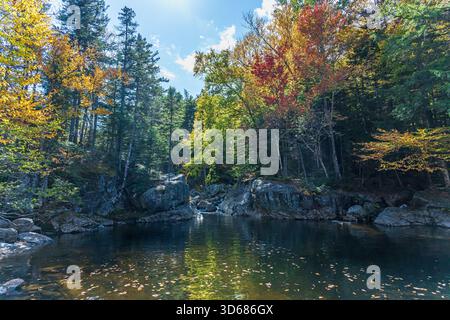 Forest Lake in den Withe Mountains, Herbstlaub, Herbstfarben, New Hampshire, Appalachen, USA Stockfoto