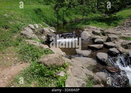Ruhiger Fluss, der über Felsen in einer üppigen grünen Landschaft fließt Stockfoto