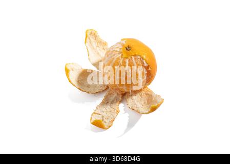 Die teilweise geschälte Mandarine Orange Citrus reticulata steht aufrecht und die Rinde ist wie Blütenblätter gespreizt. Die einfache Studioaufnahme hebt Farbe und saftiges Te hervor Stockfoto
