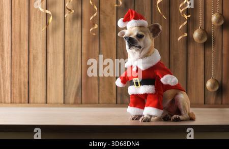 Chihuahua-Hund in einem Weihnachtsmann-Anzug und Hut auf einem Holzfuß und Hintergrund mit Holzlatten mit Weihnachtsdekorationen wie Kugeln Stockfoto