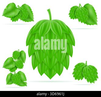 Hopfen reifes und grünes Bier Vorbereitung Zutat Cartoon Stock Vektor Illustration isoliert auf weißem Hintergrund Stock Vektor