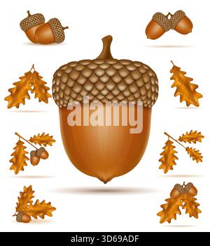 Herbst Eicheln mit Blättern Karikatur Stock Vektor Illustration isoliert auf weißem Hintergrund Stock Vektor