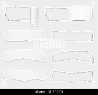 Stücke der gerissenen Papier-Karikatur-Stock-Vektor-Illustration isoliert auf Hintergrund Stock Vektor