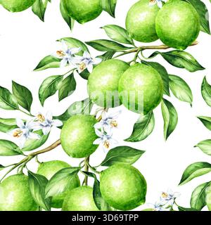 Frische Limettenfrüchte auf dem nahtlosen Muster der Zweige. Handgezeichnete Aquarellillustration, isoliert auf weißem Hintergrund Stockfoto