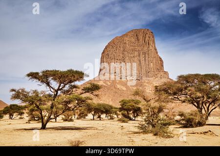 Wunderschöne Wüstenlandschaft mit Felsen und Bäumen in Hoggar Mountains, Sahara lesert, Algerien Stockfoto