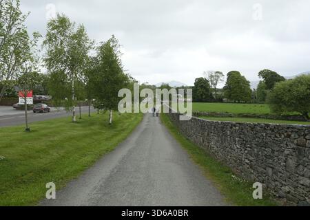 Killarney, Kerry, Irland - 19. Mai 2016 - Ein langer Fußweg, flankiert von einer Steinmauer und Bäumen entlang der Muckross Road, Killarney an einem bewölkten Nachmittag Stockfoto