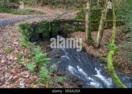 Kleine Brücke über einen schnell fließenden Bach bei Mill Clough bei Fernilee im Goyt Valley, Derbyshire, England. Stockfoto
